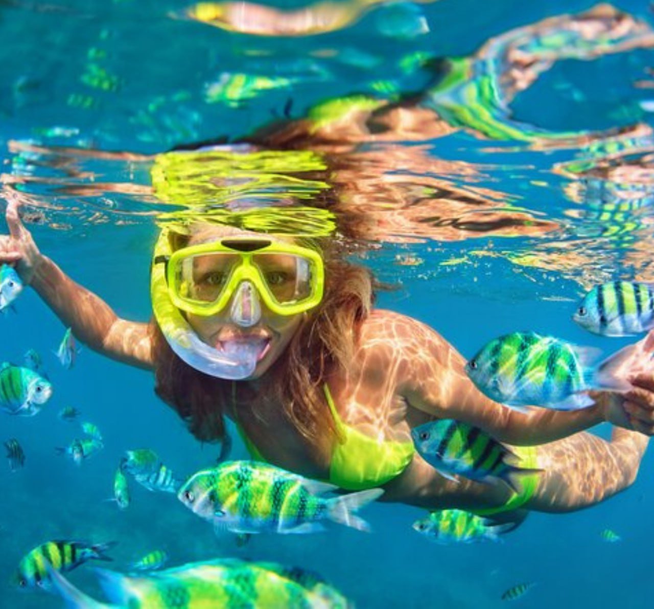 Sea Tours & Activities