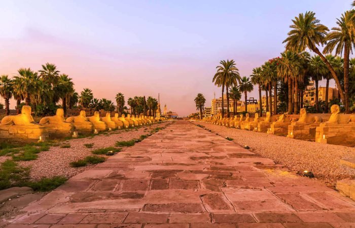 4 Days Nile Cruise from Aswan to Luxor Including Abu Simbel