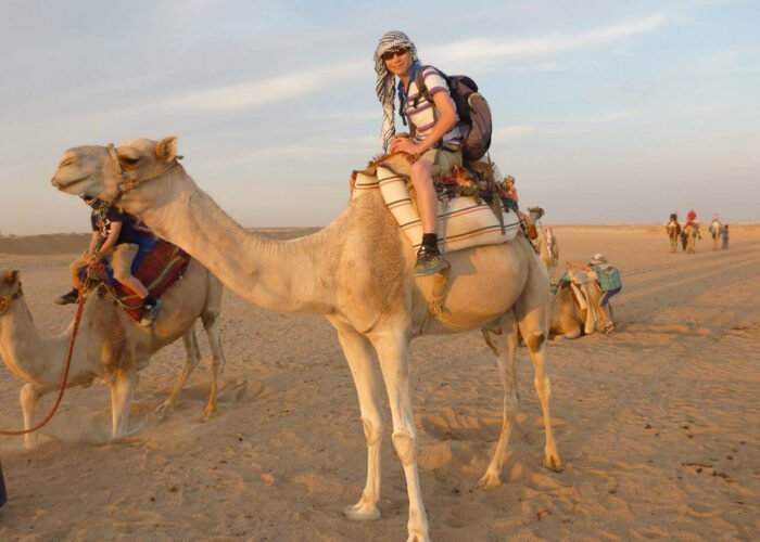 Camel Riding at Marsa Alam