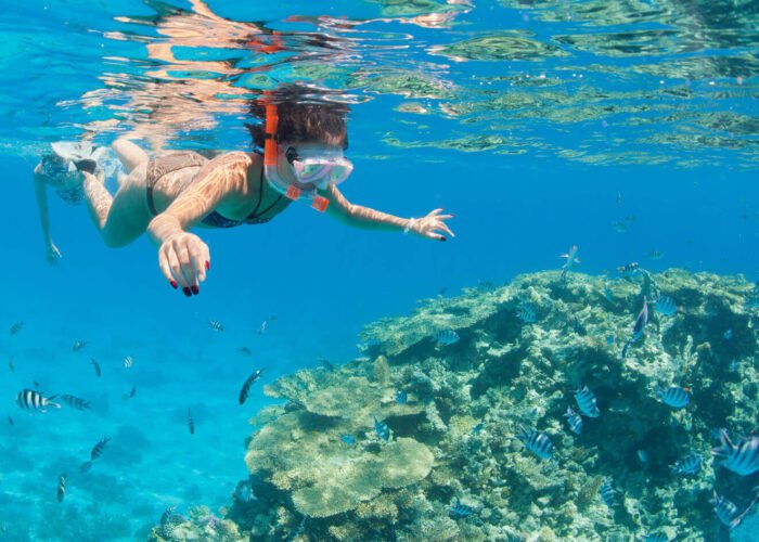 Paradise Island Snorkeling Trip From Hurghada