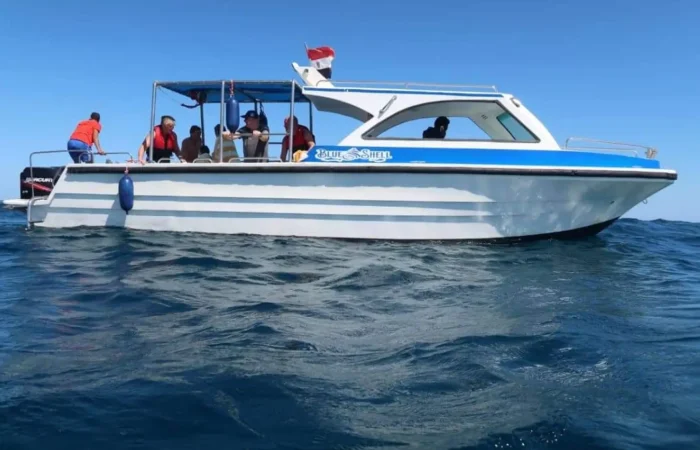 Výlet na rychlé lodi v Marsa Alam