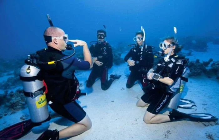 Diving Courses (PADI) in Marsa Alam