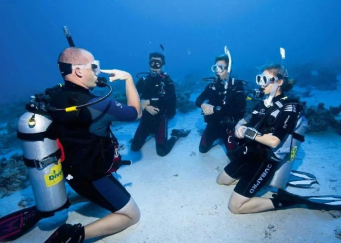 Diving Courses (PADI) in Marsa Alam