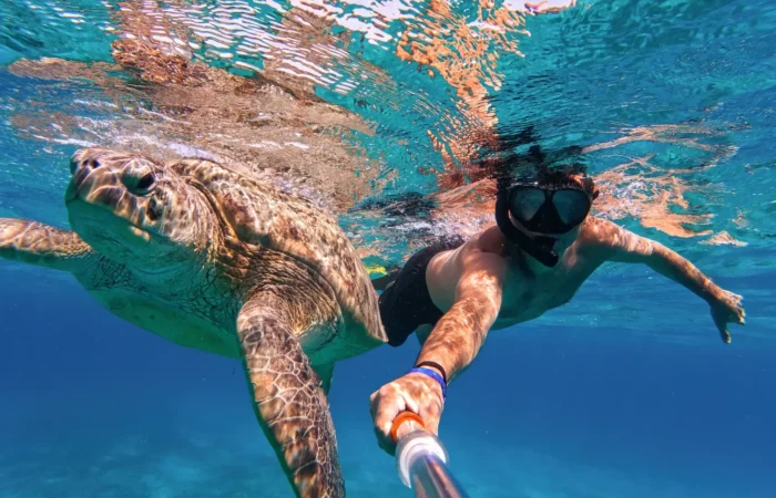 Snorkeling Tour with Turtles in Marsa Alam