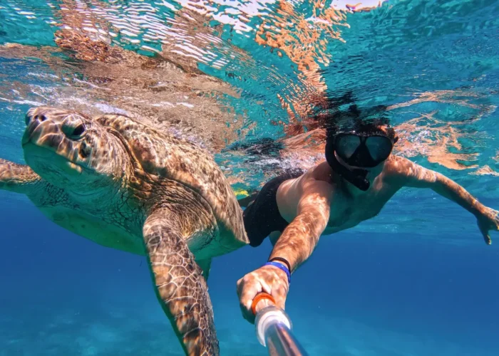 Snorkeling Tour with Turtles in Marsa Alam