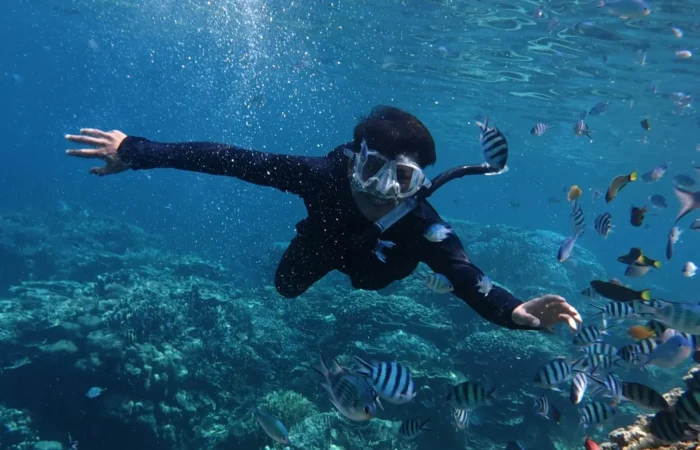 Abu Dabbab Dugong Bay Snorkeling In Marsa Alam