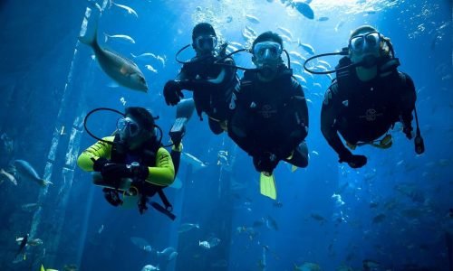 great-photo-of-a-group-of-tourists-on-a-diving-trip